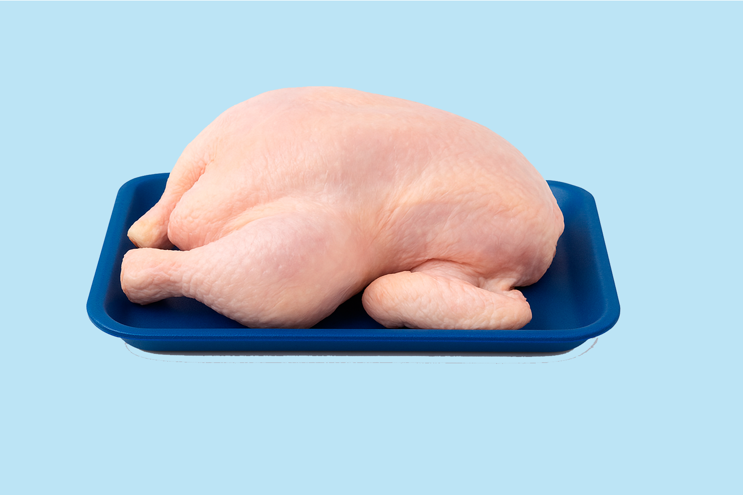 contorno_inferior Contorno Inferior - Image 1